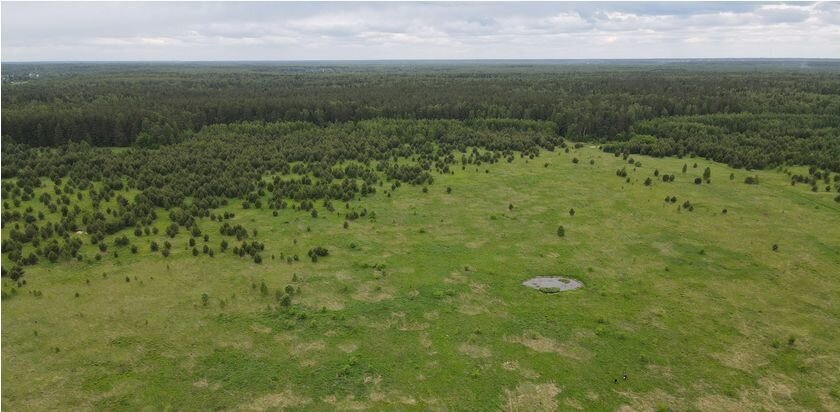 земля городской округ Орехово-Зуевский г Куровское 63 км, д. Костино, Егорьевское шоссе фото 7