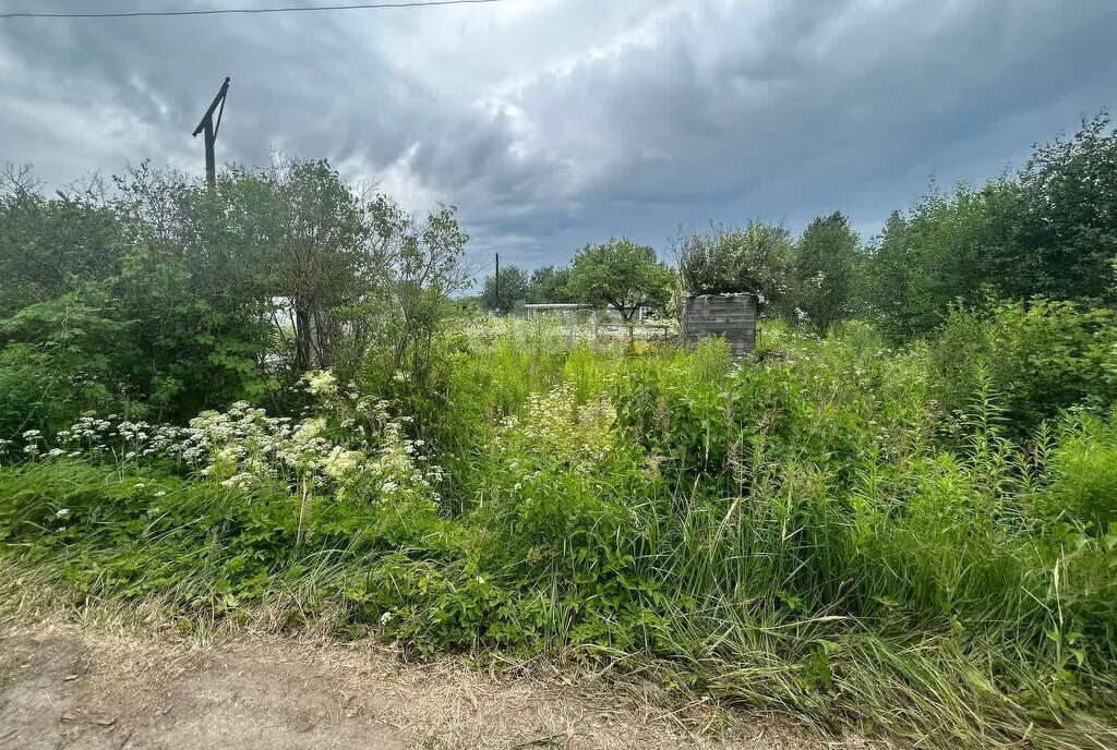 земля р-н Волховский г Волхов снт Родина фото 4