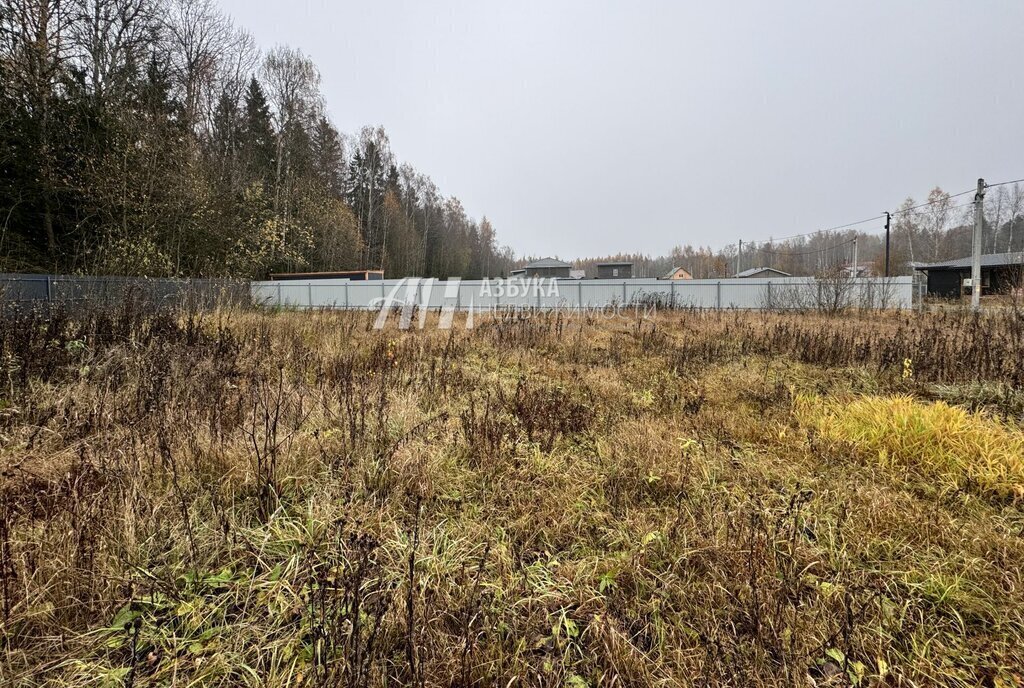 земля г Домодедово коттеджный поселок Медная подкова городской округ Пушкинский фото 2