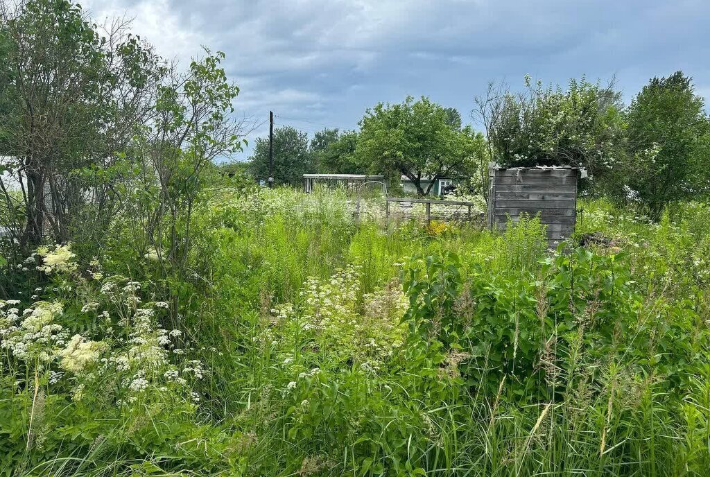 земля р-н Волховский г Волхов снт Родина фото 5