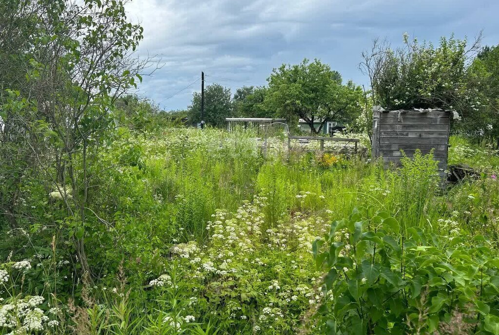 земля р-н Волховский г Волхов снт Родина фото 12