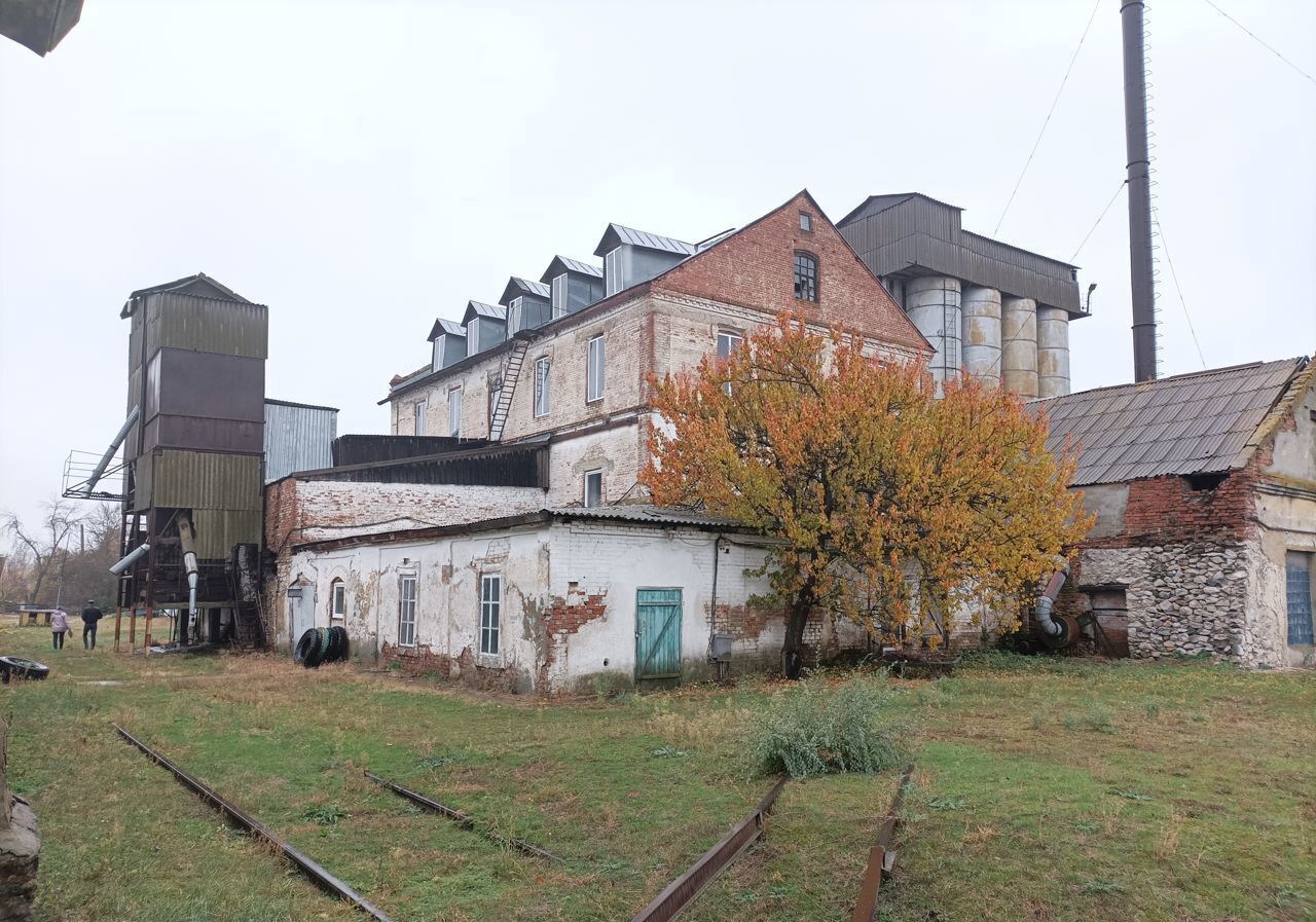 производственные, складские р-н Тарасовский п Тарасовский ул Ленина 82 Тарасовское сельское поселение фото 1