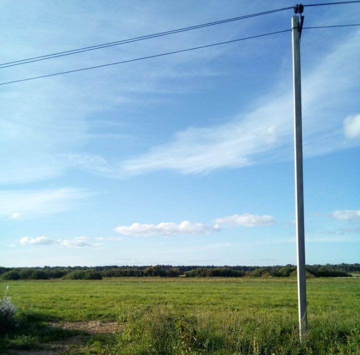 земля р-н Новгородский с Бронница пос. Боры, Бронницкое с пос фото 3