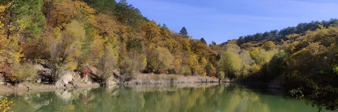 квартира р-н Бахчисарайский пгт Куйбышево ул Родниковая 49 фото 14