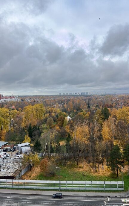 квартира г Санкт-Петербург метро Озерки пр-кт Ярославский 95 фото 20