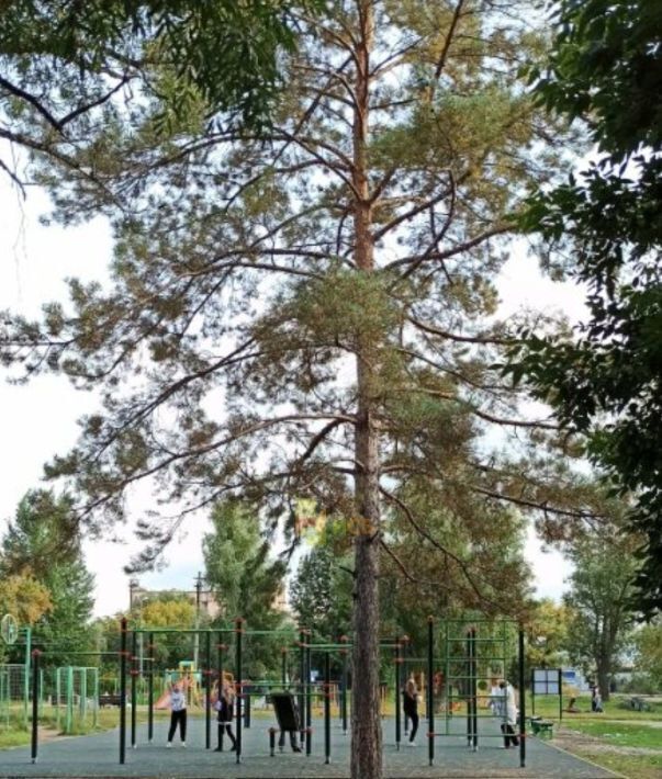 комната г Омск р-н Кировский ул Семиреченская 138 фото 7