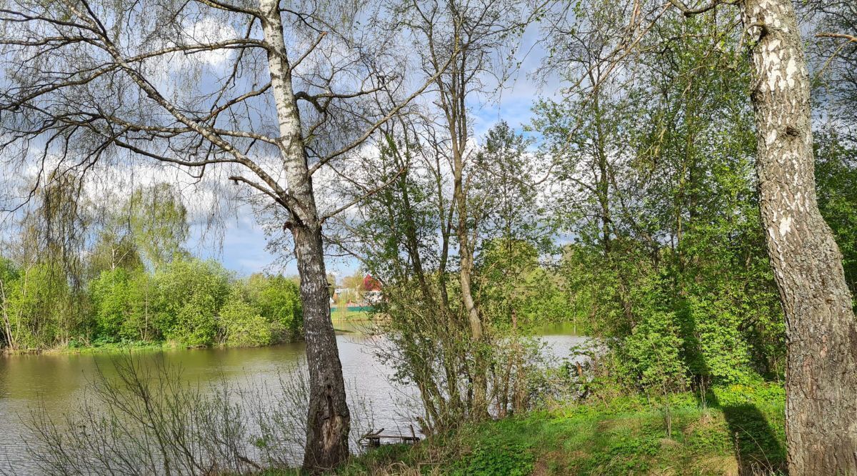 земля городской округ Наро-Фоминский д Афанасовка ул Речная фото 3