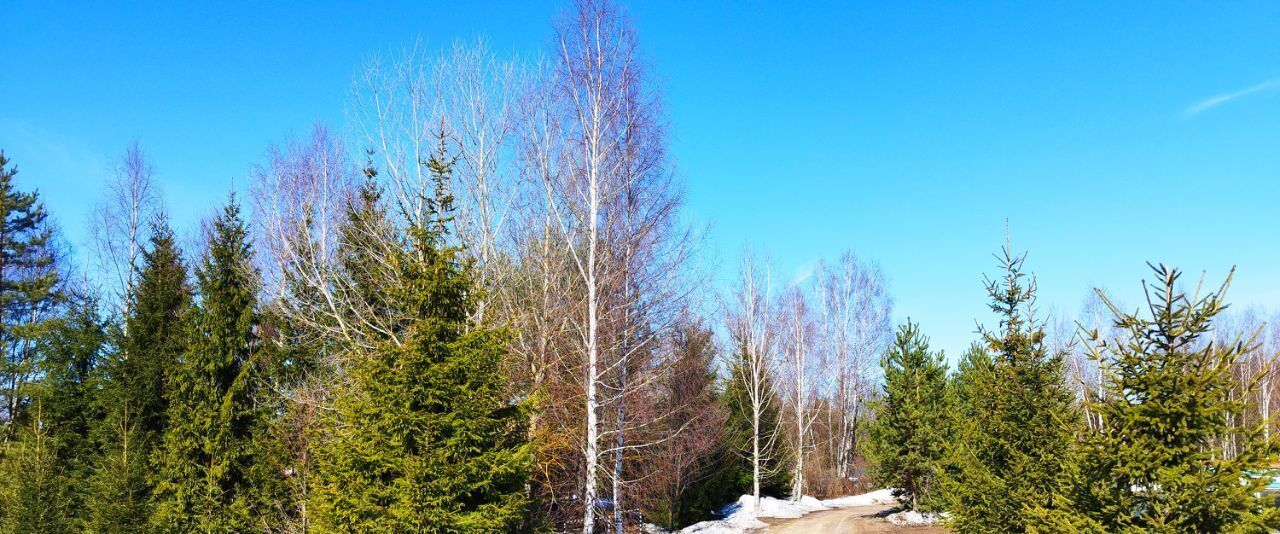 земля городской округ Клин д Коськово 211 фото 1