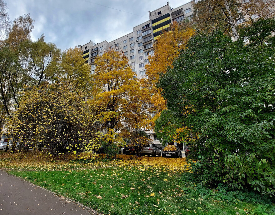 квартира г Санкт-Петербург метро Озерки ул Композиторов 1к/1 фото 22