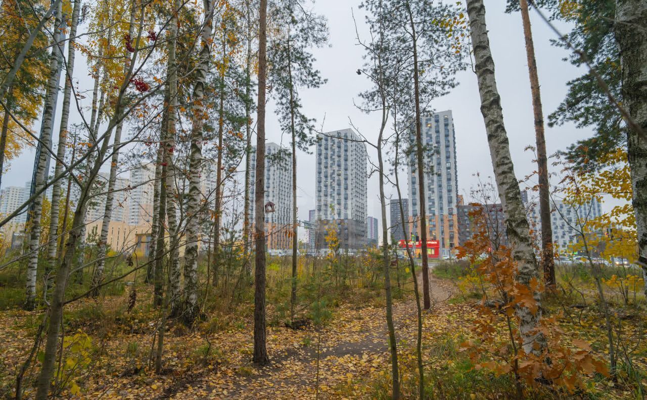 квартира г Санкт-Петербург метро Проспект Просвещения ш Суздальское 30к/2 Орловский парк округ Коломяги фото 25