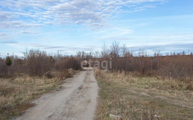 земля ул Центральная 11 Башковское сельское поселение, Тобольск фото