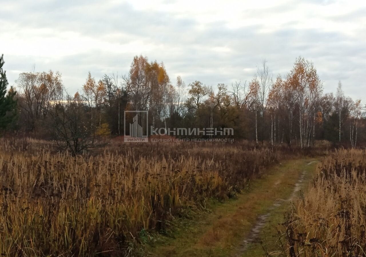 земля р-н Петушинский д Панфилово муниципальное образование Нагорное, Покров фото 1