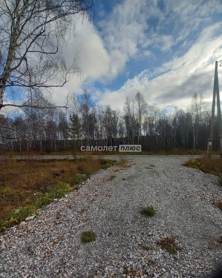 земля г Верхняя Пышма с Мостовское Старотагильский тракт, 19 км, Еловая ул., 19, Монетный фото 5