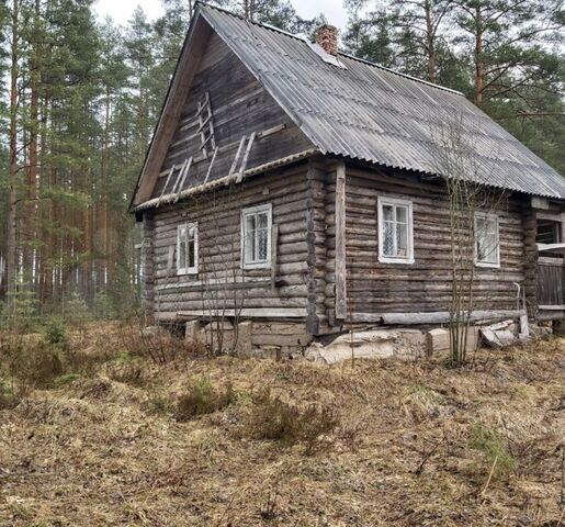 ул Лесная Трасса Лодейное Поле — Тихвин, 157 км, Горское сельское поселение, Тихвин фото