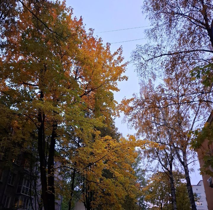 квартира г Санкт-Петербург метро Политехническая пр-кт Тихорецкий 7к/4 фото 16