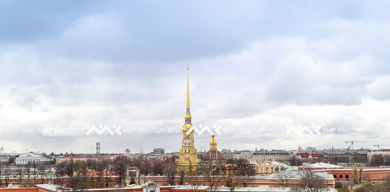 квартира г Санкт-Петербург метро Горьковская пл. Троицкая Петроградской стороны, 1 фото 3