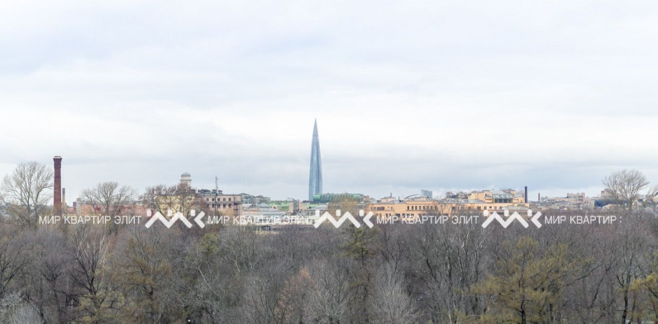 квартира г Санкт-Петербург метро Горьковская пл. Троицкая Петроградской стороны, 1 фото 23