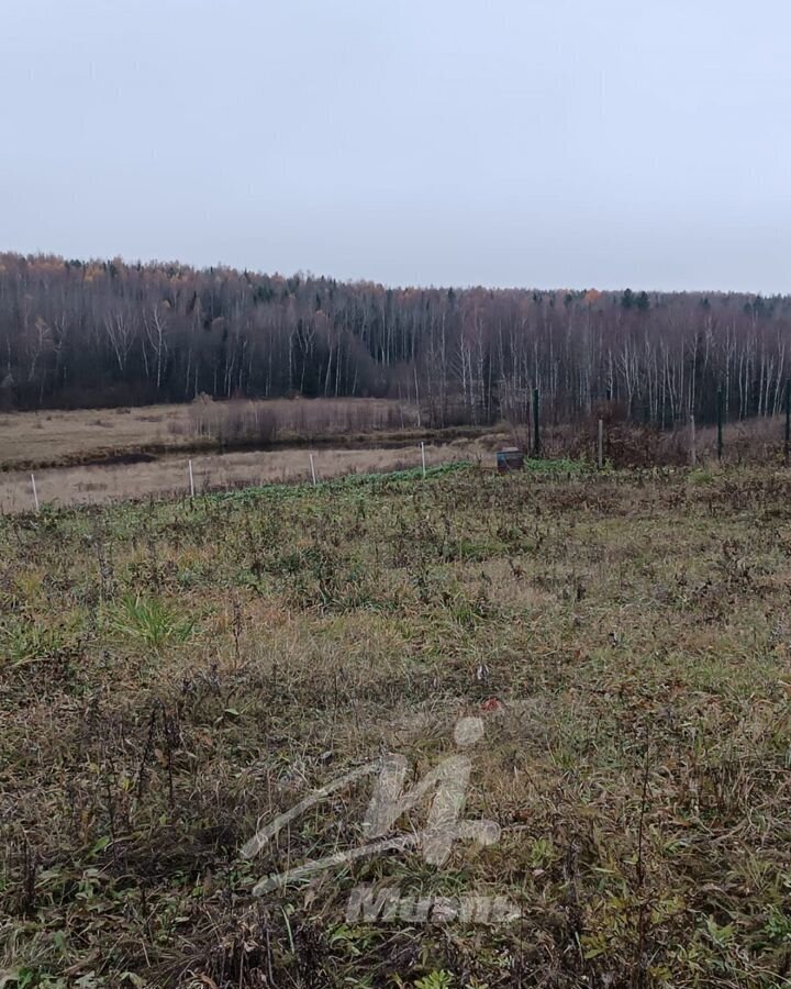 земля направление Савеловское (север) ш Рогачевское 40 км, 46К-0322, Деденево фото 19