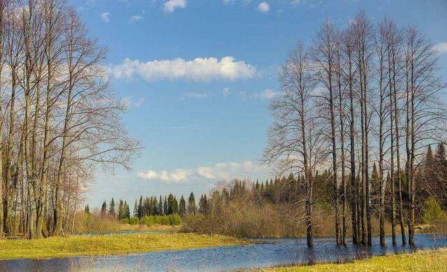 Воскресеновский сельсовет, Пенза фото