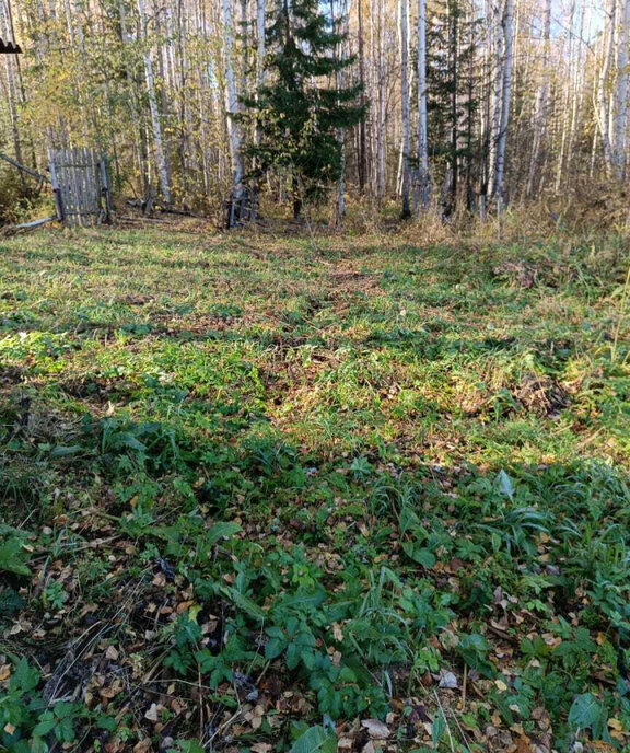 дом г Березовский сад тер коллективныйN 87 городской округ Первоуральск фото 20