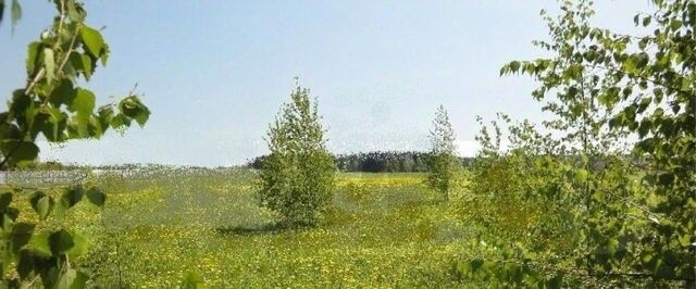 городской округ Красногорск д Поздняково Никольская Слобода кп, Аникеевка фото