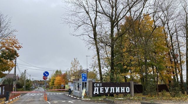 с Деулино Сергиево-Посадский городской округ фото