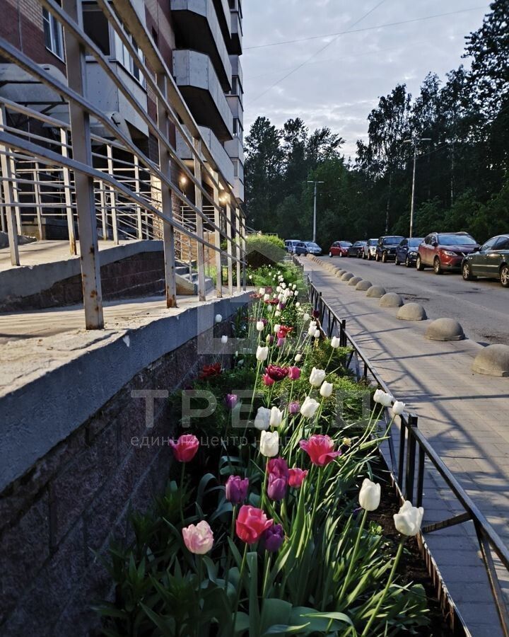 квартира г Санкт-Петербург метро Международная ул Турку 11к/2 фото 22