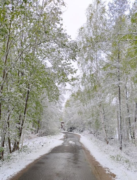 земля р-н Конаковский д Осиновка ул Казанская фото 2