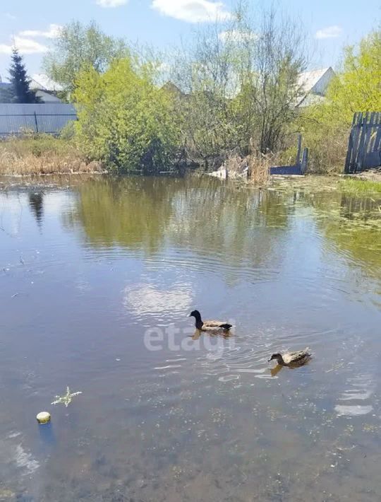 земля г Тюмень п Березняковский р-н Центральный ул Любимая фото 8