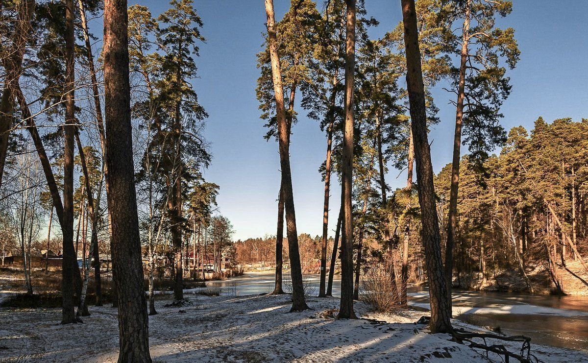 земля г Тамбов мкр-н Пригородный Лес фото 11