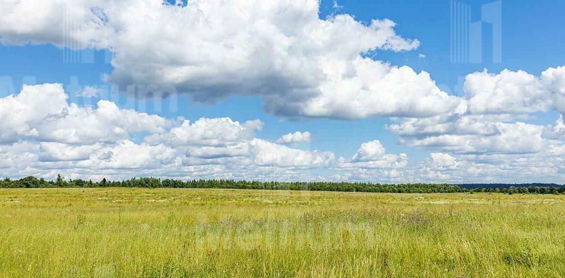 земля городской округ Красногорск д Поздняково Никольская Слобода кп, Аникеевка фото 2