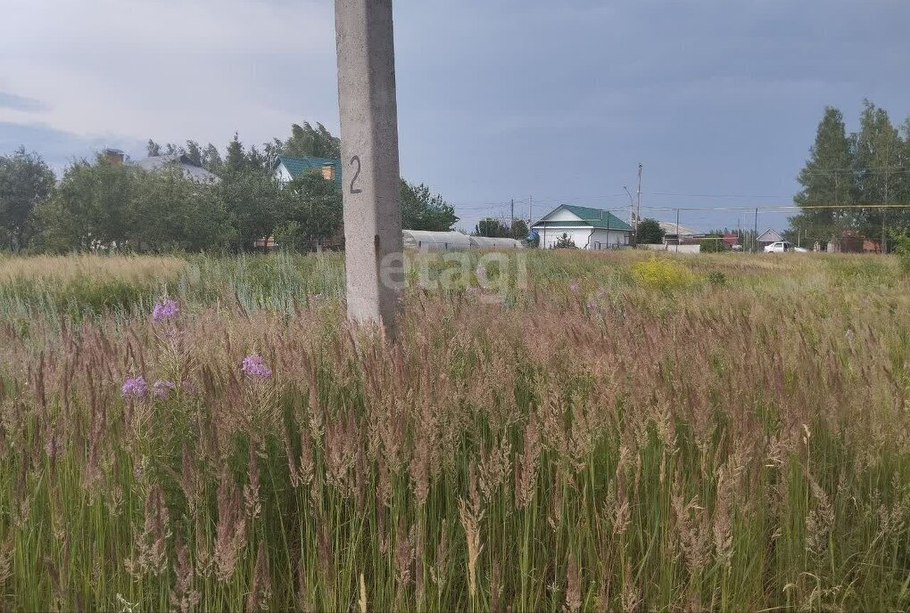 земля р-н Кочкуровский с Булгаково ул Дачная фото 8