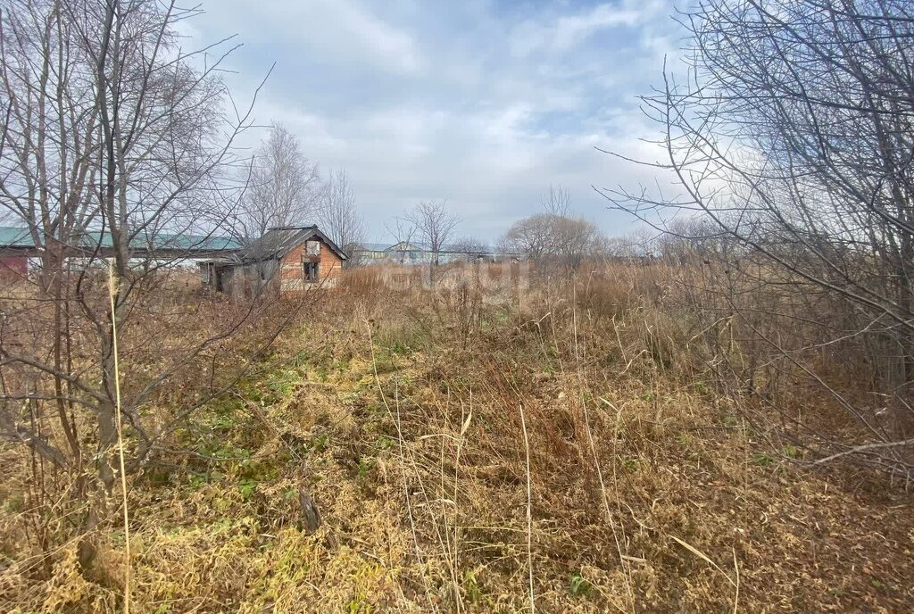 земля р-н Хабаровский с Тополево снт Ветерок фото 3