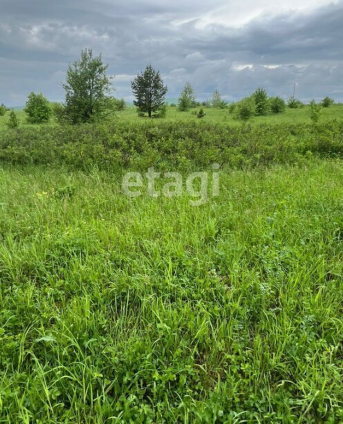 земля р-н Майминский с Подгорное ул Заречная фото 4