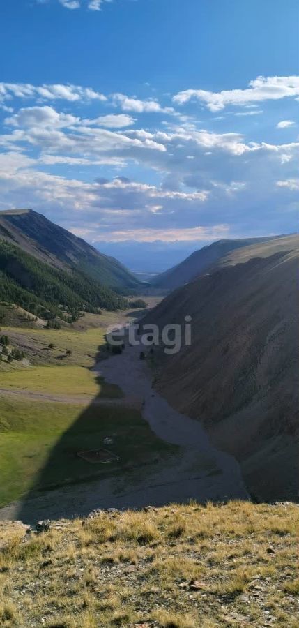 земля р-н Кош-Агачский с Теленгит-Сортогой Кош-Агач фото 6