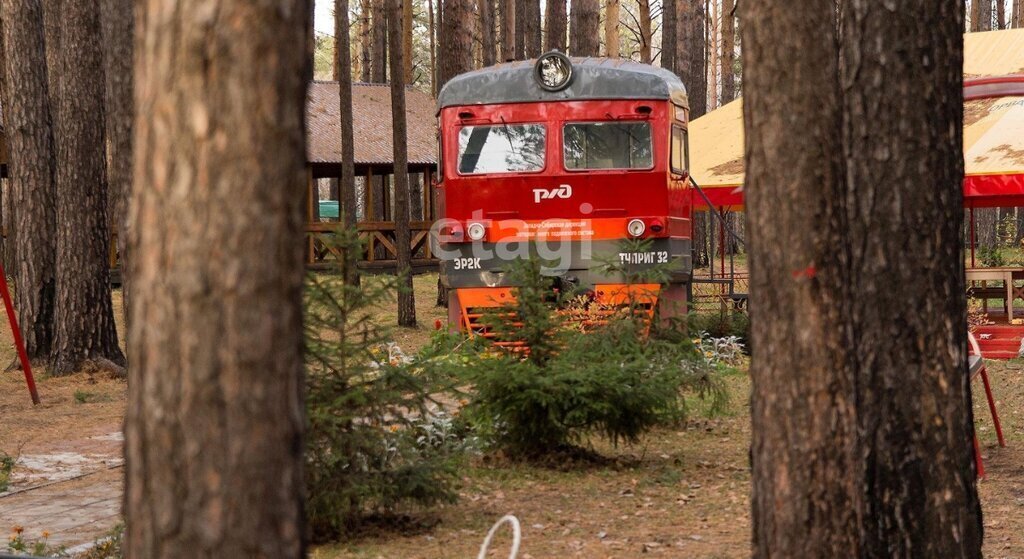 земля г Новосибирск р-н Заельцовский Заельцовская тер Заельцовский Парк фото 10