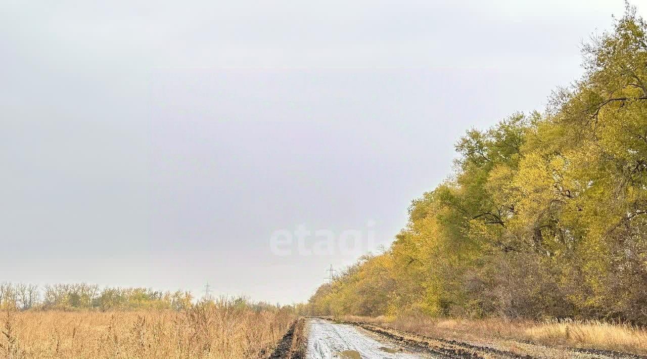 земля р-н Новоусманский с Новая Усмань Новая Радуга мкр фото 3