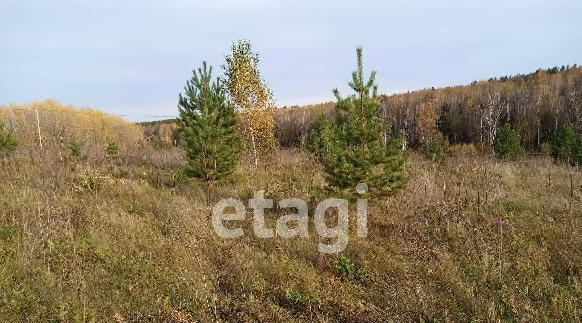 земля р-н Емельяновский д Таскино сельсовет, Устюгский фото 7