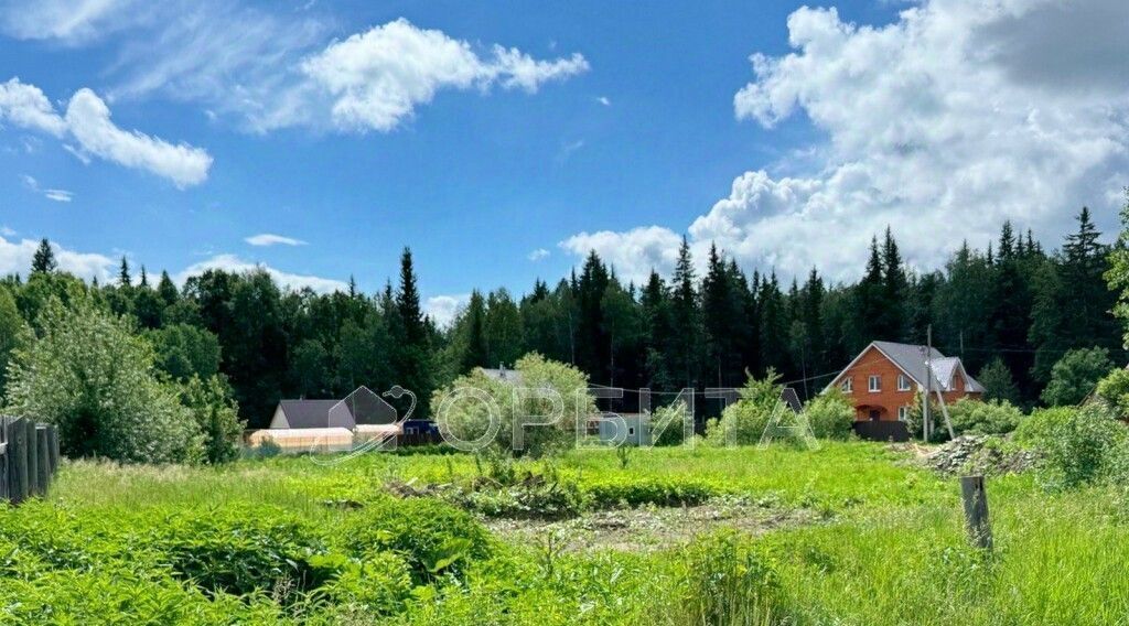 земля р-н Нижнетавдинский с Тюнево ул Центральная Тюневское сельское поселение фото 1