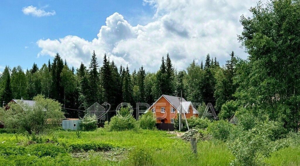 земля р-н Нижнетавдинский с Тюнево ул Центральная Тюневское сельское поселение фото 3