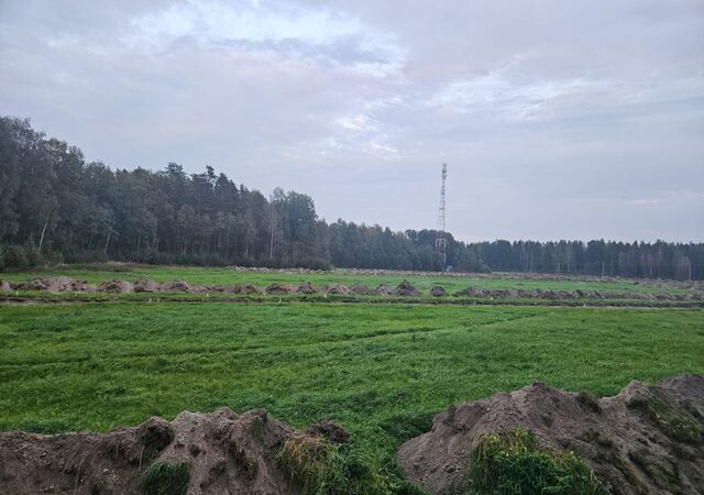 д Четверяково Трасса Сортавала, 70 км, Красноозёрное сельское поселение, Красносельское фото