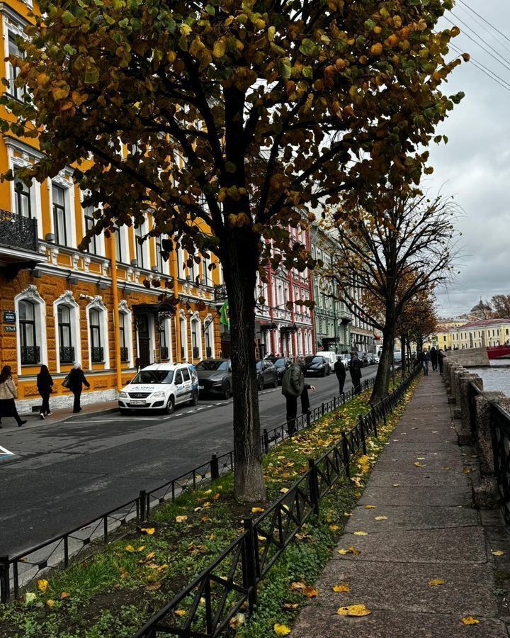 свободного назначения г Санкт-Петербург метро Адмиралтейская р-н Адмиралтейский ул Большая Морская 36 фото 1