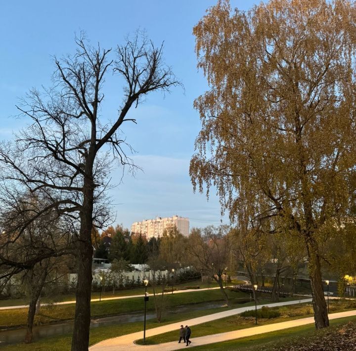 квартира г Москва п Воскресенское п подсобного хозяйства Воскресенское Потапово, 40к 2 фото 24