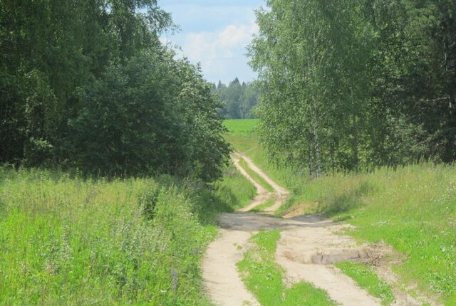 д Михали муниципальное образование Горкинское фото