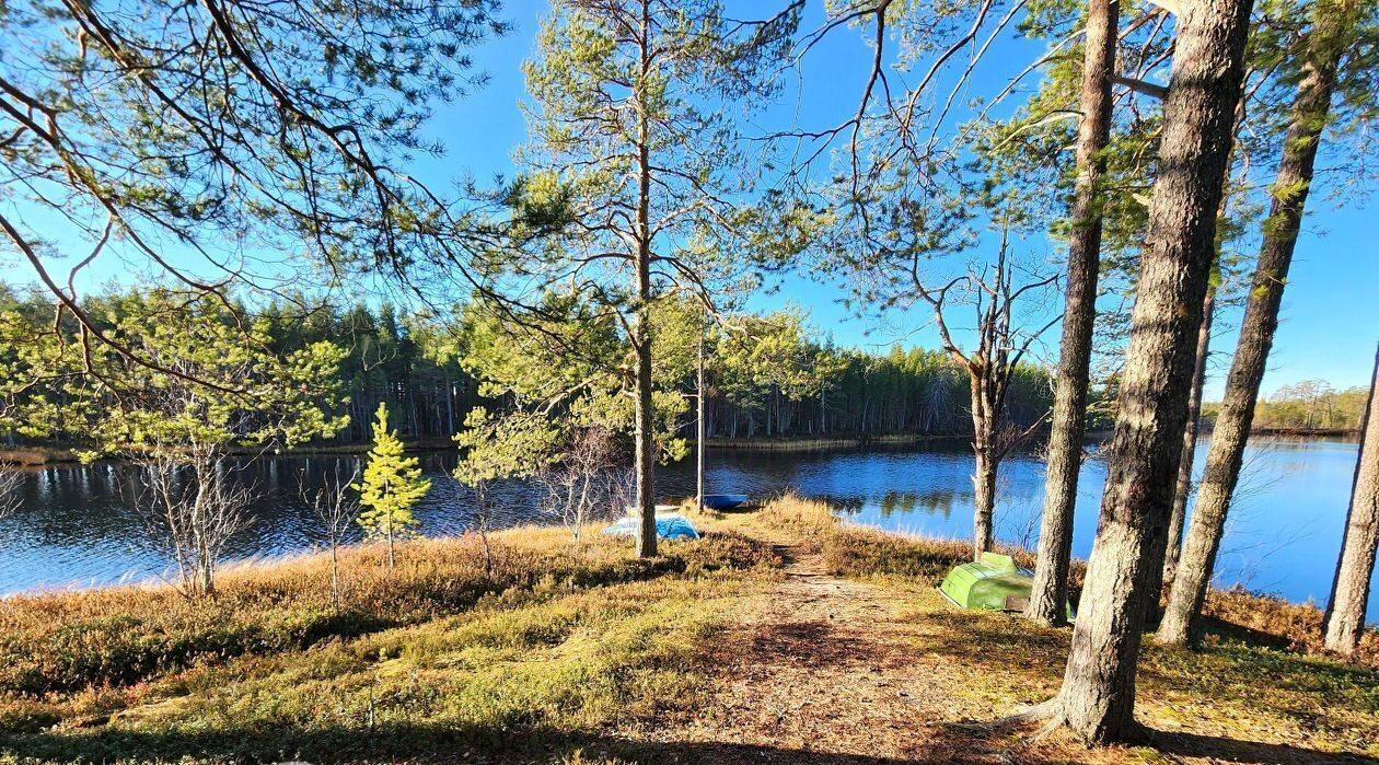 дом Костомукшский городской округ, СОТ, 66, Магистраль фото 27