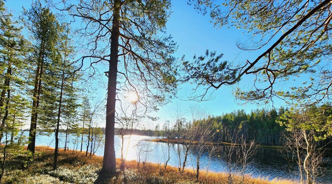 дом Костомукшский городской округ, СОТ, 66, Магистраль фото 28