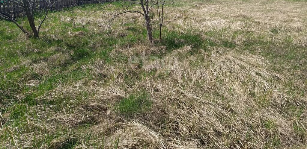 земля г Балашов ул 1-я Заводская муниципальное образование город Балашов фото 1