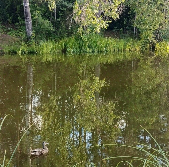 дом г Нижний Тагил р-н Ленинский снт Дружба ул Цветочная 52 КС фото 41