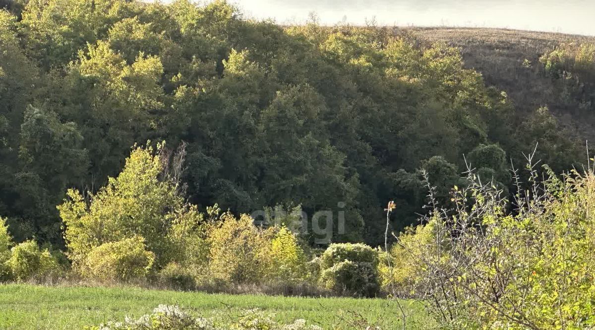 земля р-н Белогорский пгт Зуя ул Больничная 5 Зуйское сельское поселение фото 4