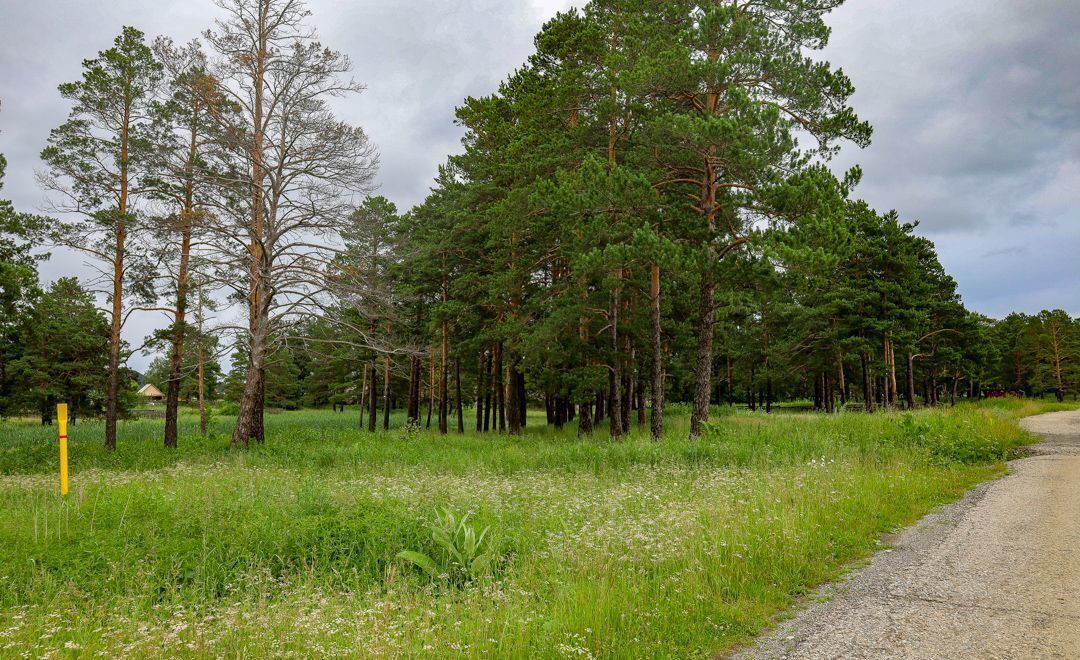 дом г Верхний Уфалей Верхнеуфалейский г. о., Зелёная ул фото 5